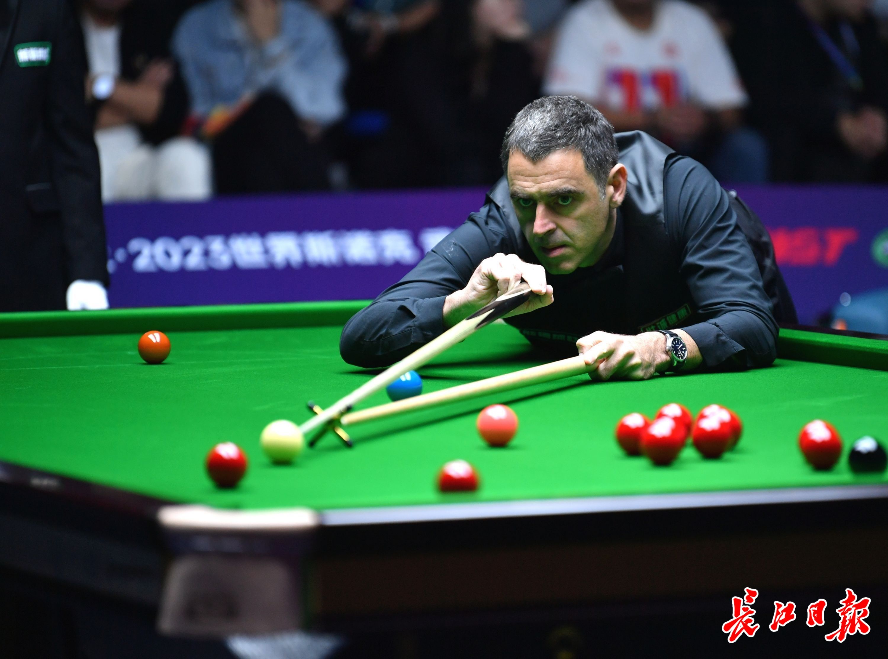 的评选标准 的评选标准