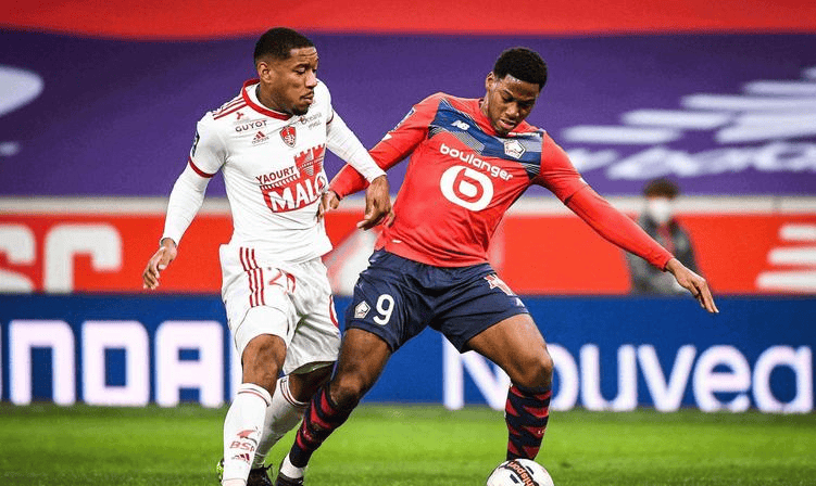 失利预测了 失利预测了